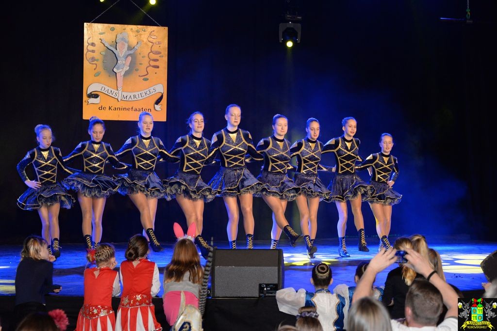 ../Images/Dansmarieke festival 2018 115.jpg